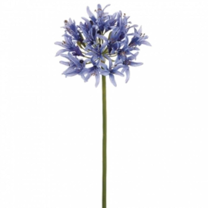32"Lg Agapanthus Spray Lv 
