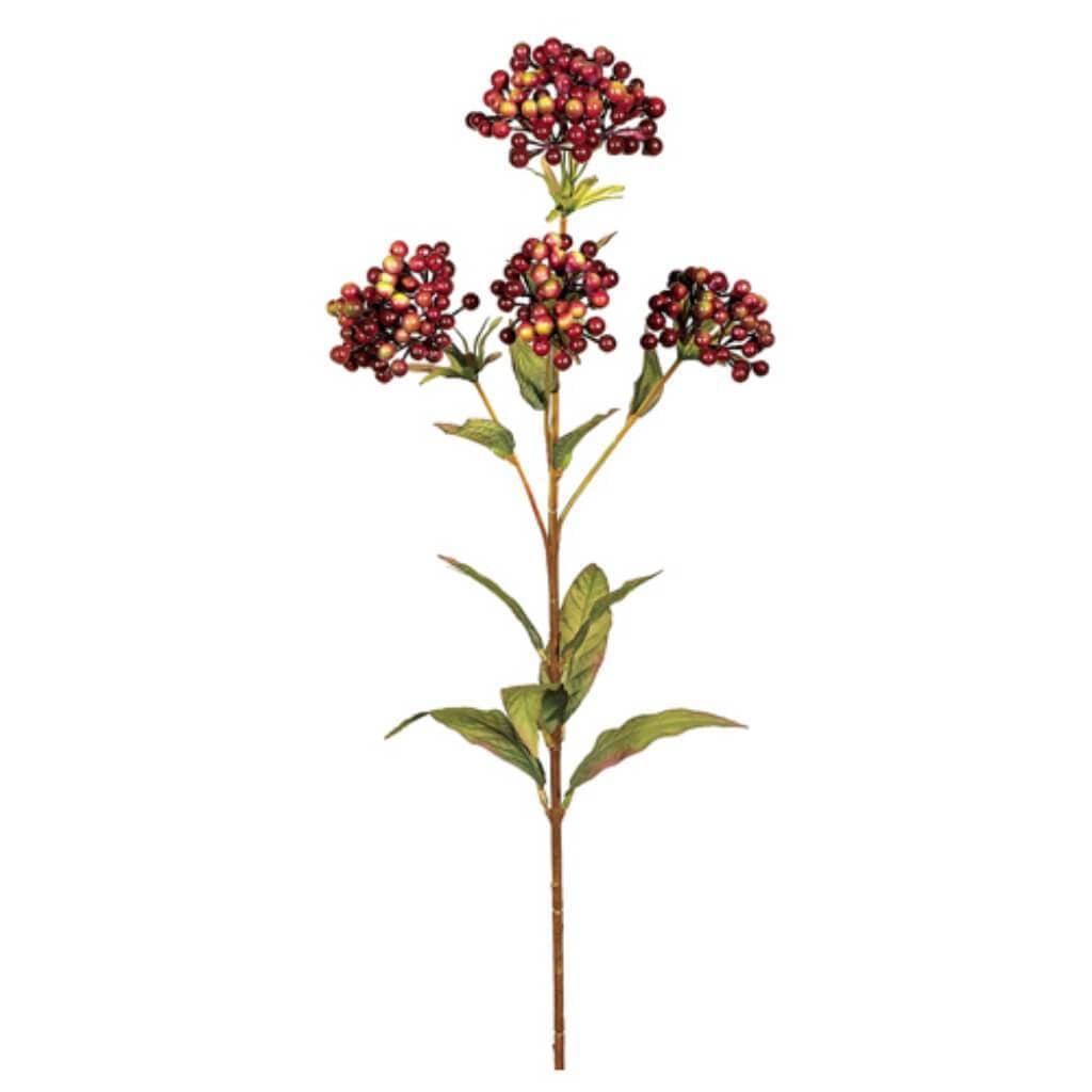 30.5"Honey Berry Spray X4 Butt 