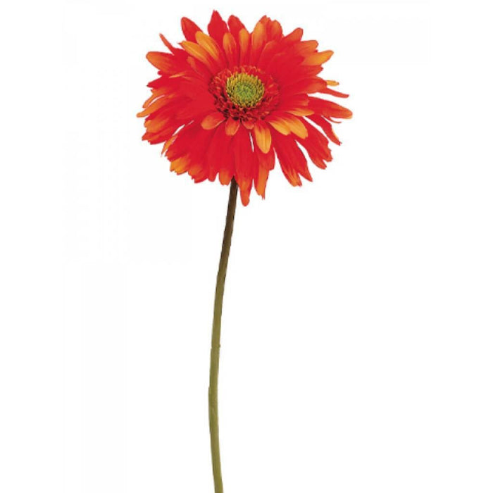 29"Gerbera Daisy Spray Or 