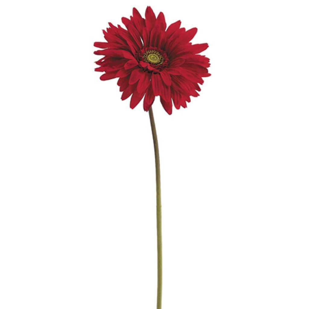 29&quot;Gerbera Daisy Spray Re 