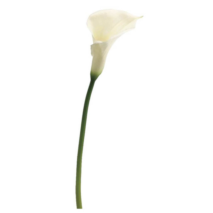 28"Lg Calla Lily Spray Wh 