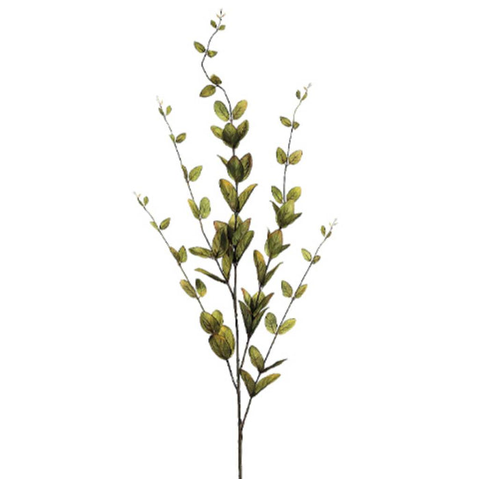46"Lonicera Leaf Spray X5 Gr 