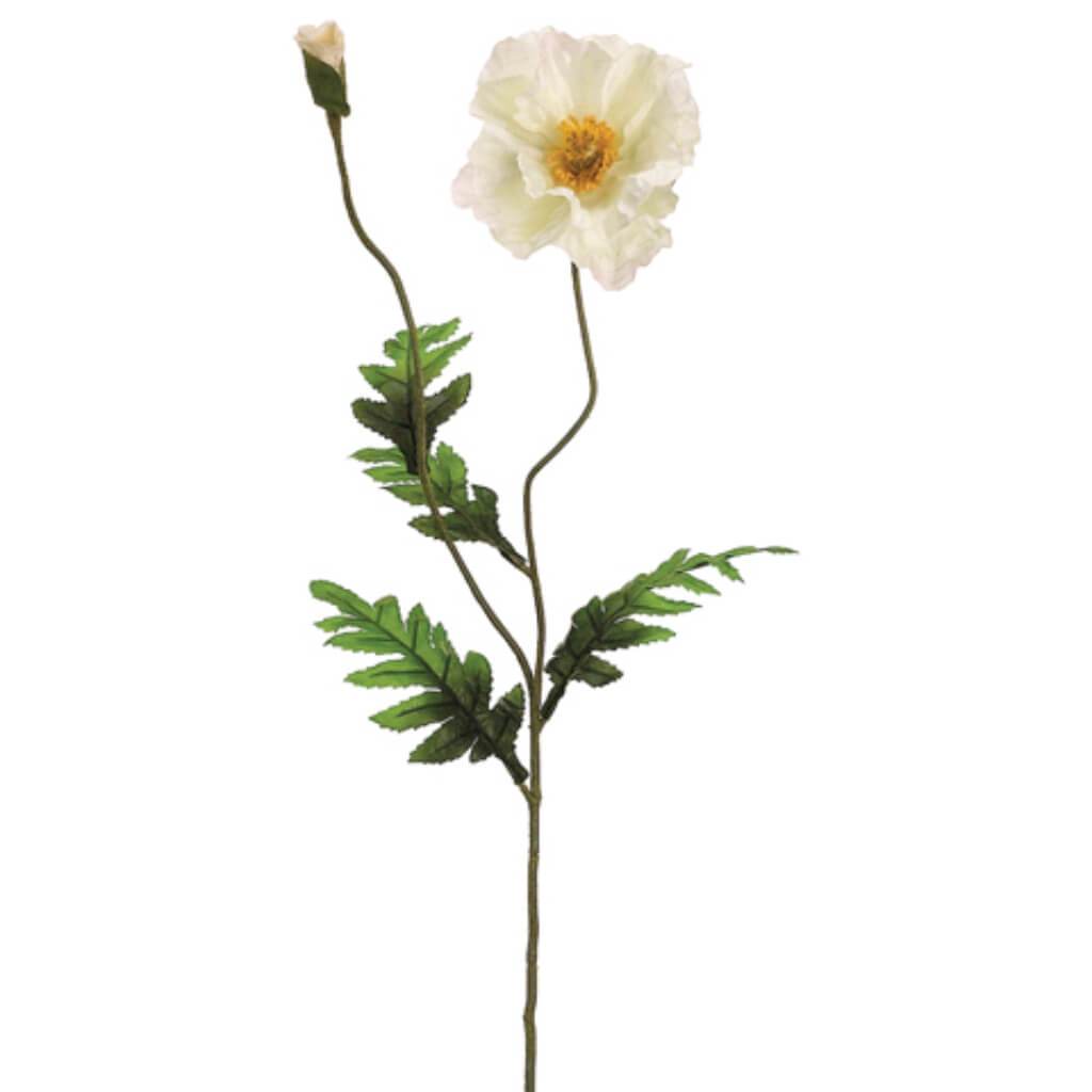 Poppy Spray 28" X2 1F1B Cr 