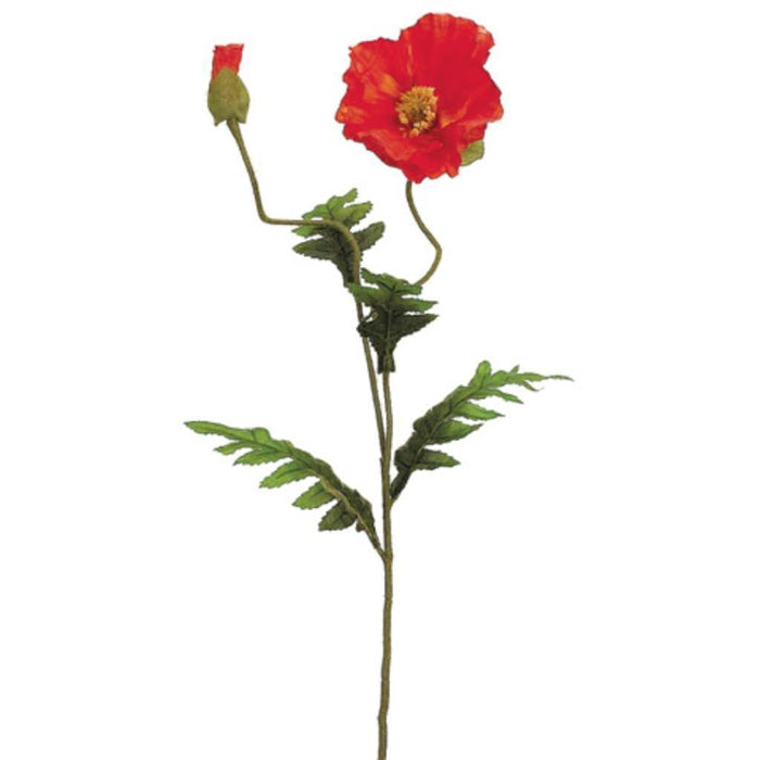 28"Poppy Spray X2 1F1B Or 