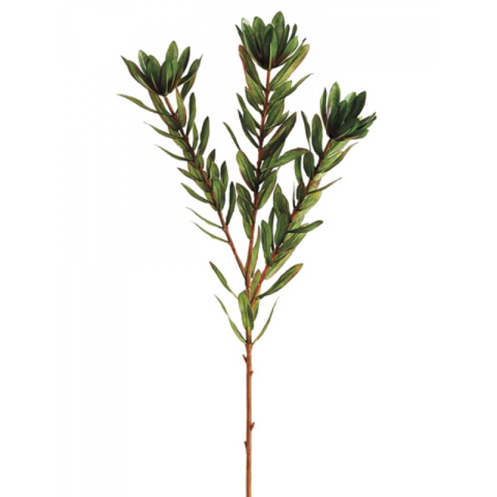 Wild Protea Spray 26.25&quot; Green 