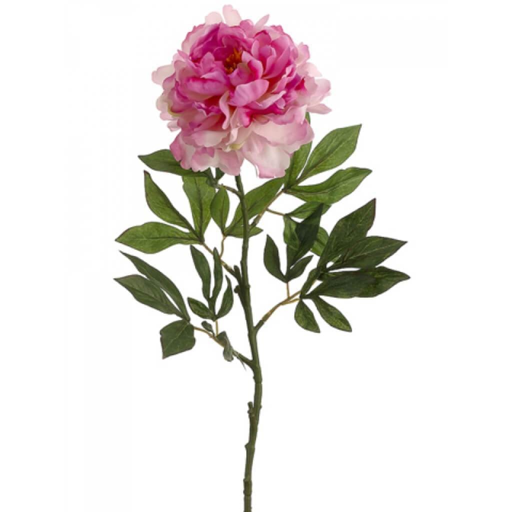 32"Peony Spray X1 Pk/Lv 