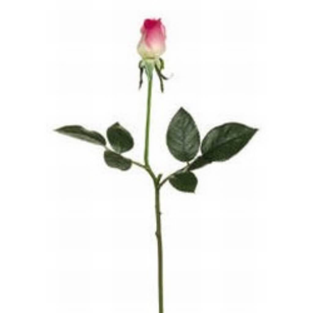 17.5"Rt Dia.Rose Bud Sp.Pk/Lt 