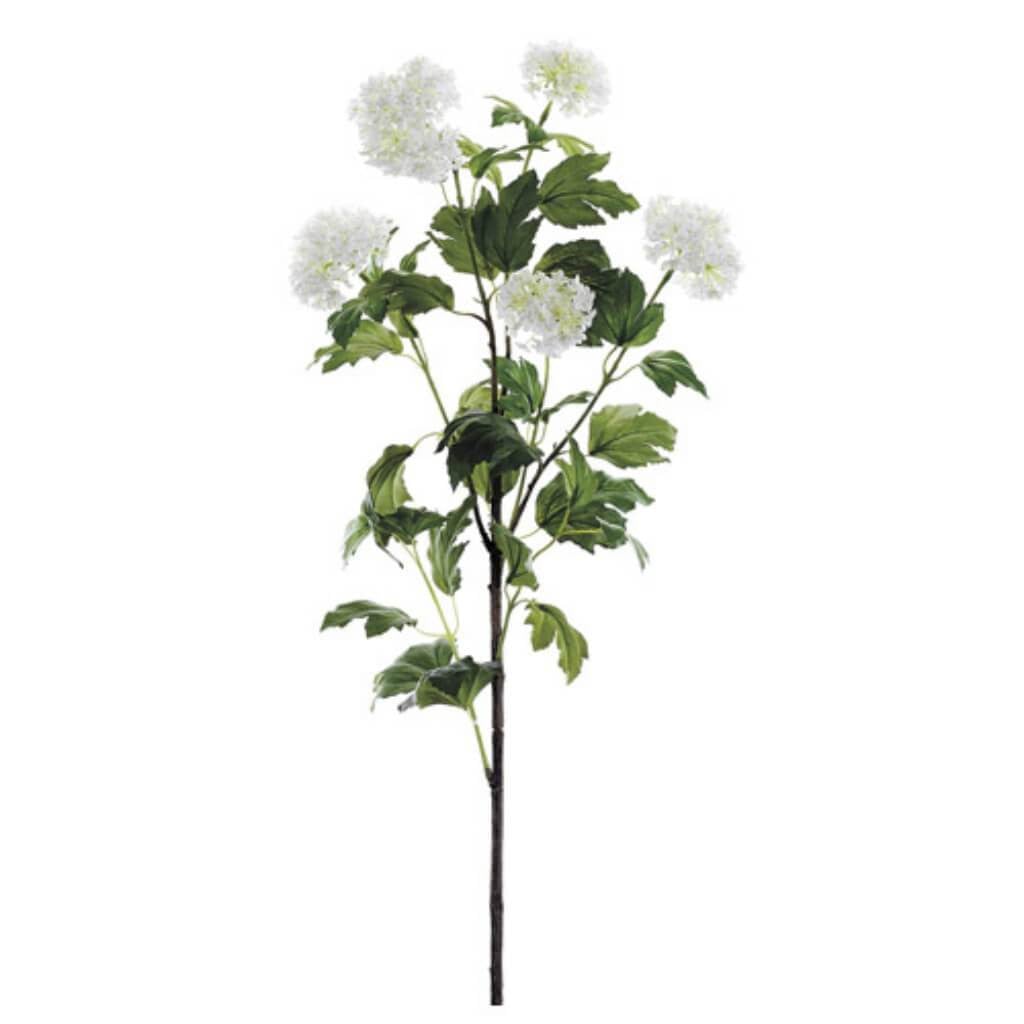 39"Snowball Spray X5 Cr 