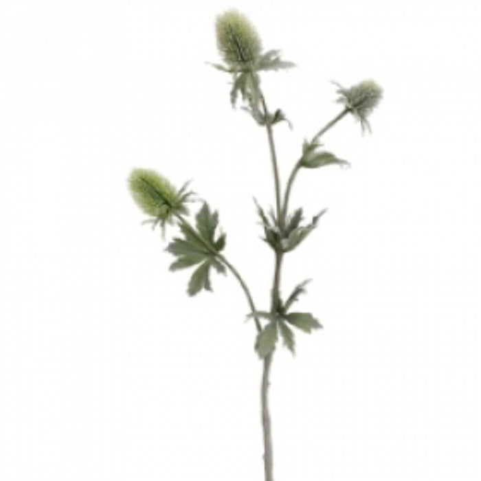 31"Thistle Spray Gr 