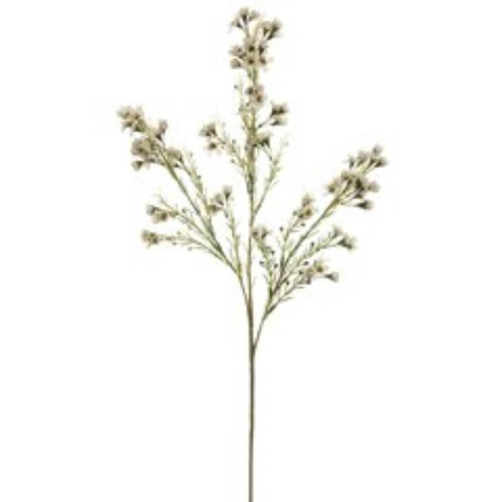 27"Waxflower Spray X3 Cr/Wh 