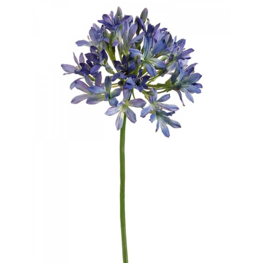35"Agapanthus Spray Bl/Bu 