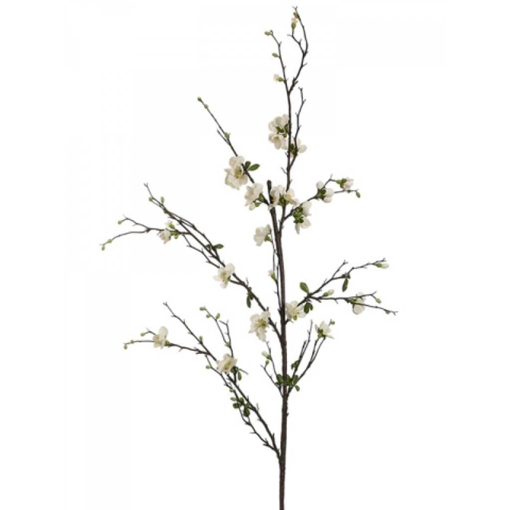 57"Quince Blossom Branch Cr 
