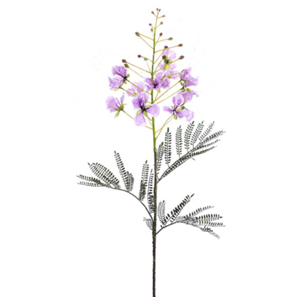 33"Caesalpinia Spray Lv/Cr 