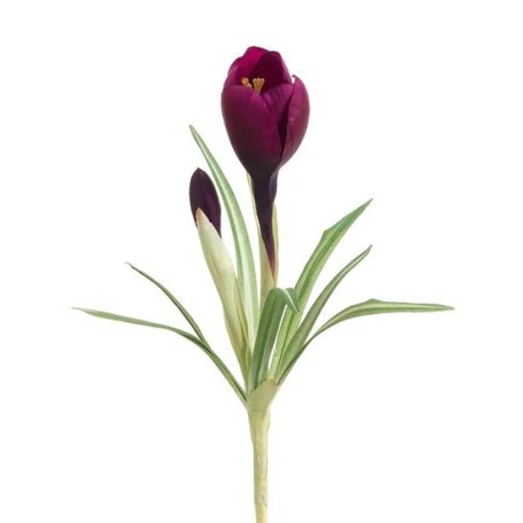10"Crocus Spray Ep 