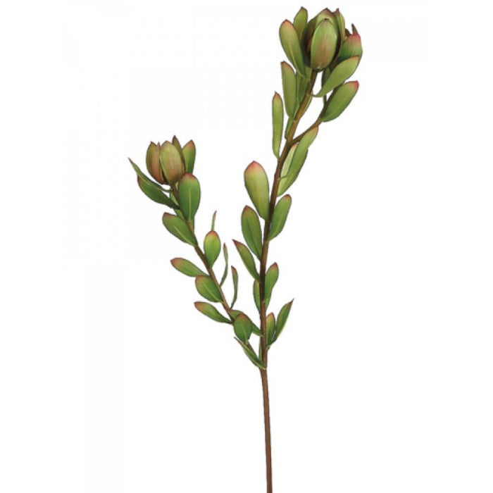 24"Mini Leucadendron Spray 