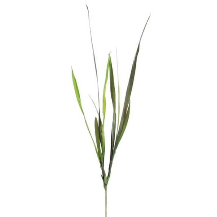 27"Cymbidium Foliage Plant 