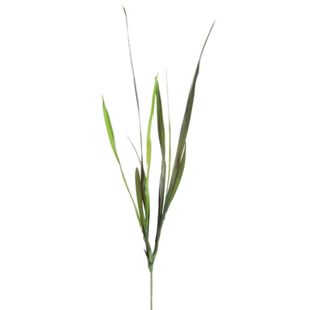 27"Cymbidium Foliage Plant 