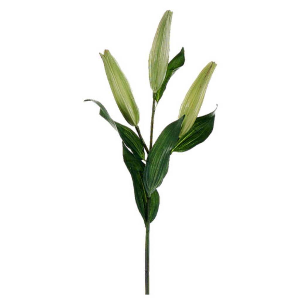 37.5"Lily Bud Spray Gr 
