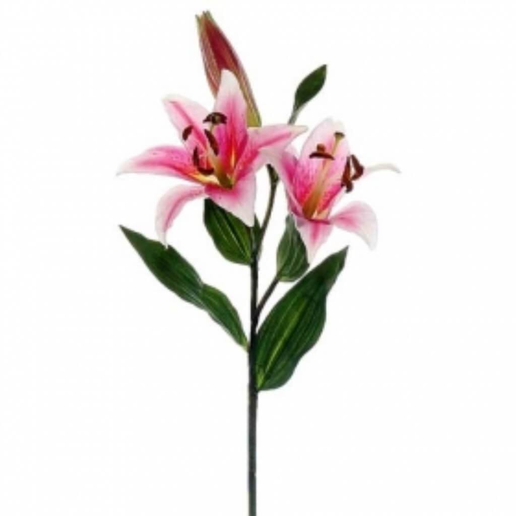 32.5"Rubrum Lily Spray Pk 