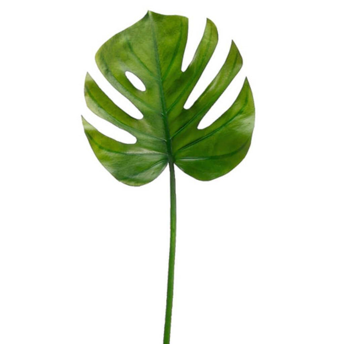 26"Split Philo Leaf Spray Gr 