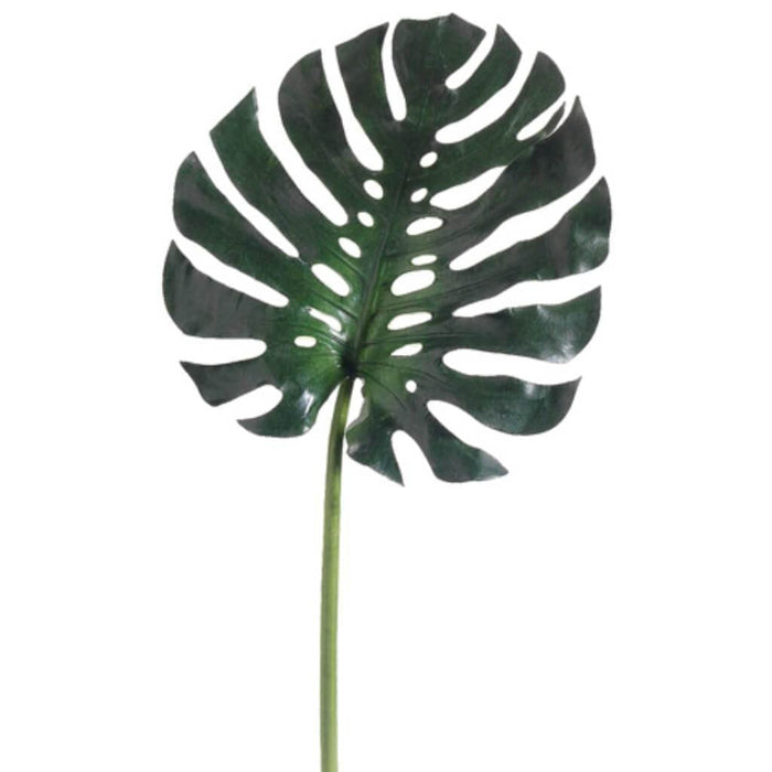 16"Md Monstera Leaf Spray Gr 