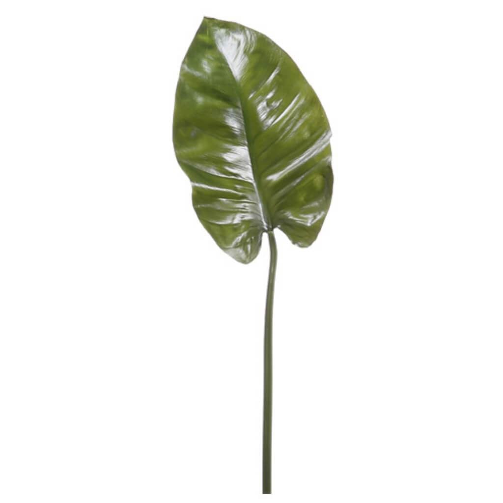 31.5"Lg Anthurium Leaf Spray 