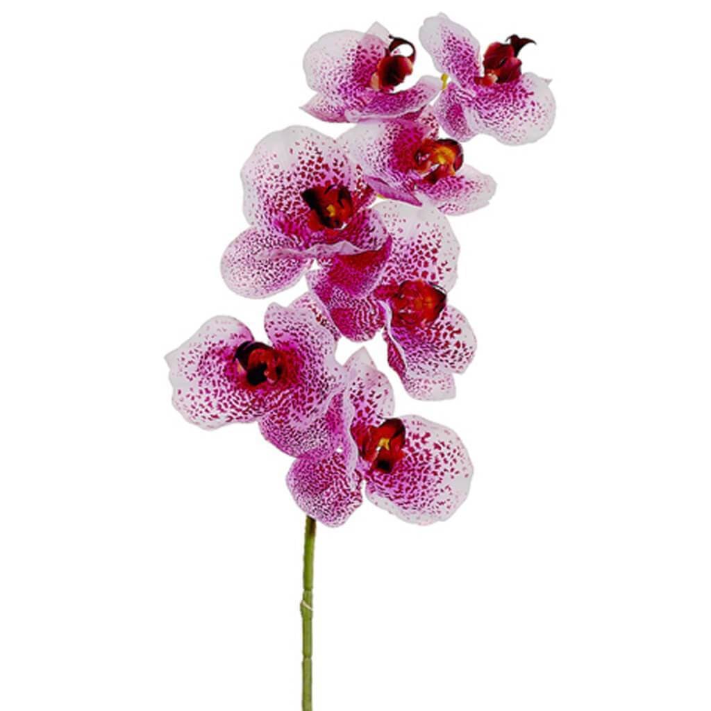 40"Phalaenopsis Spray Lv/Oc 