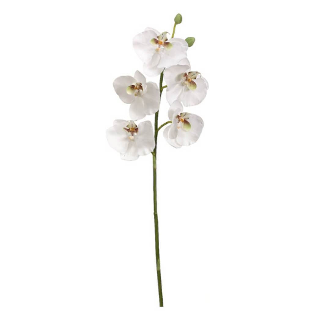 37"Phalaenopsis Spray 5F2B 