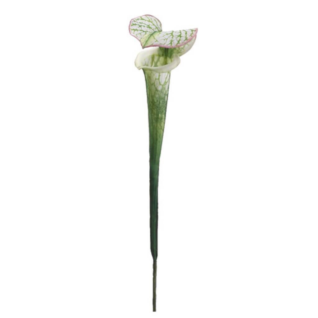 28"Pitcher Plant Spray Gr/Wh 
