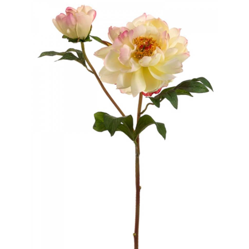 22.5"Vintage Peony Spray Cr/Ce 