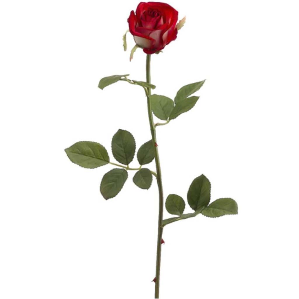 22.5"Vicky Brown Rose Sp.Re/Wh 