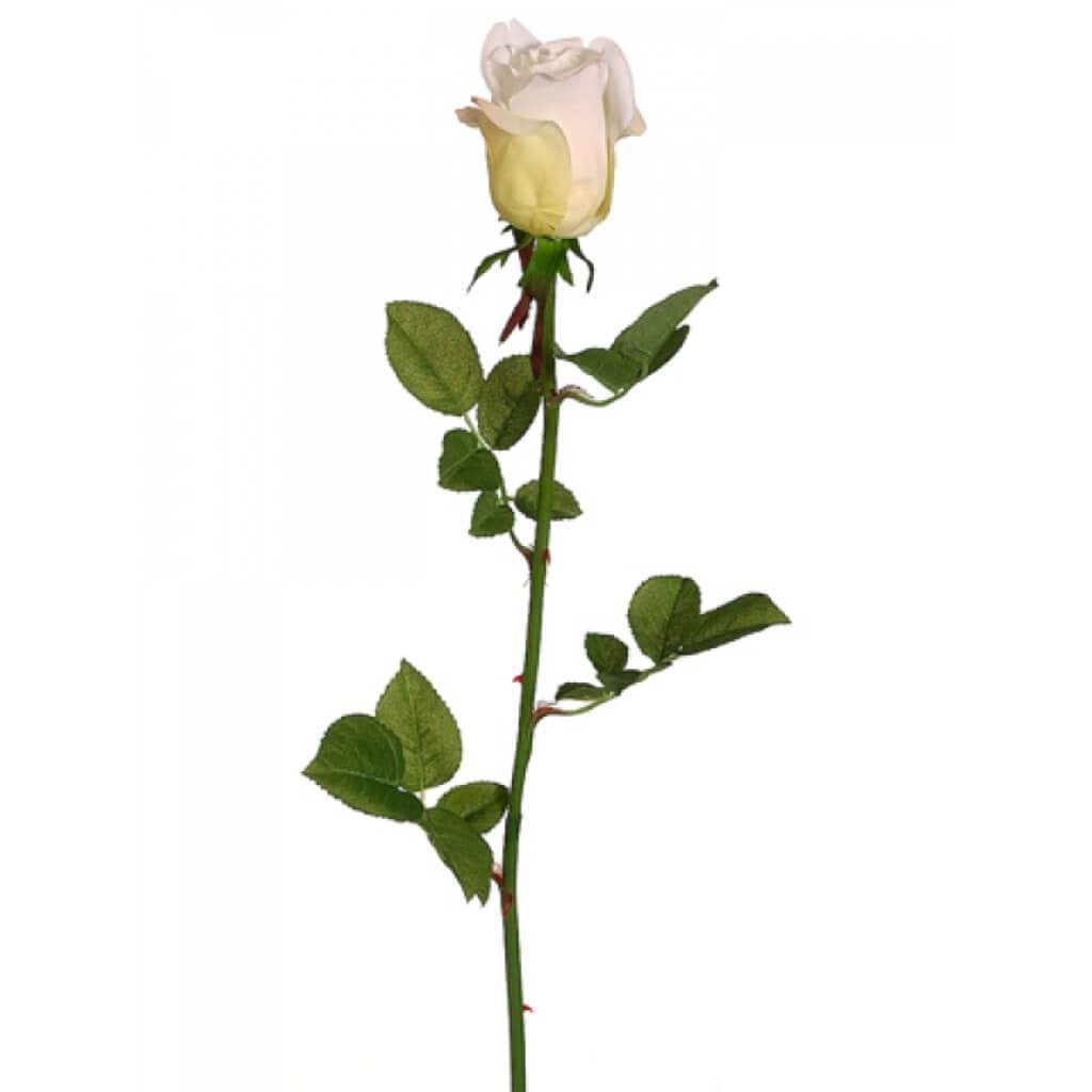 28"Garden Rose Bud Sp.Cr 