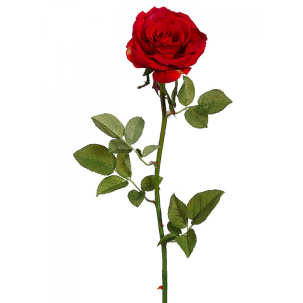 Garden Open Rose Spray 27&quot; Red 