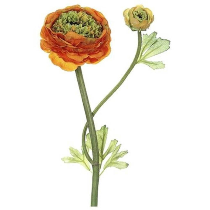 20"Dbl Ruff Ranunculus Sp.Or 