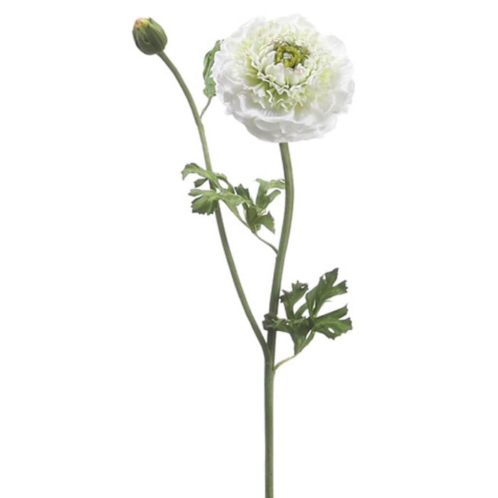 21"Ranunculus Spray Cr/Gr 