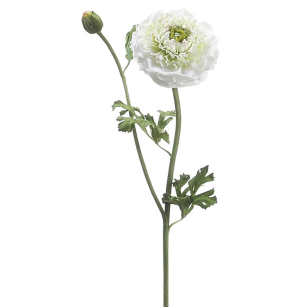 21"Ranunculus Spray Cr/Gr 