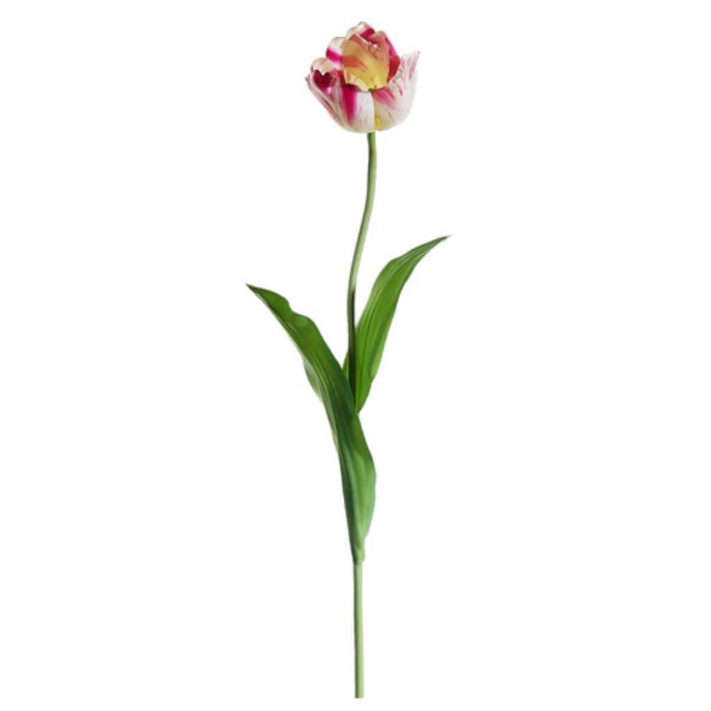 28&quot;Tulip Spray Cr/Bt 