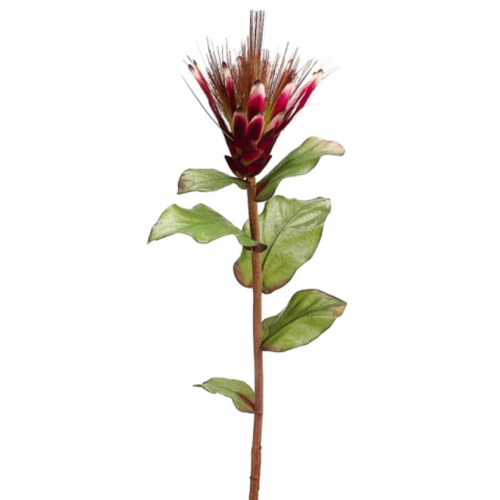 33"Protea Spray Bu 
