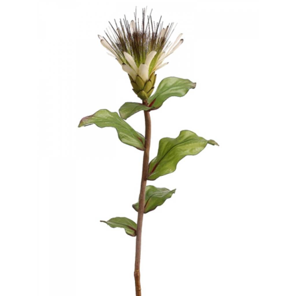 33"Protea Spray Cr/Gr 