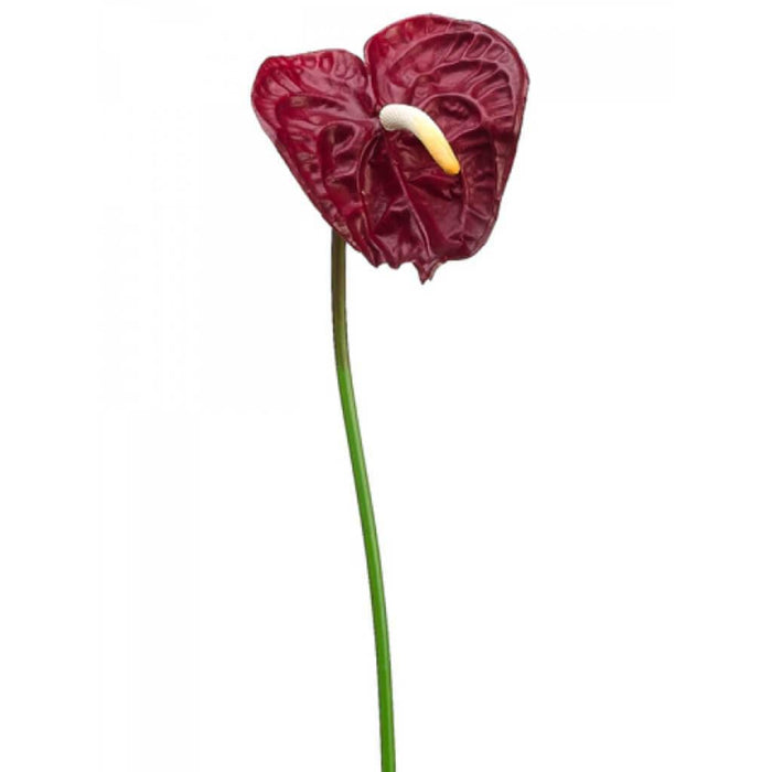 26"Sm Anthurium Spray Re 