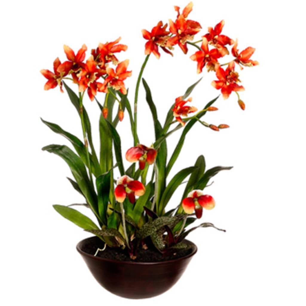 28"Oncid/Lady'S Slipper(P)Rugr 