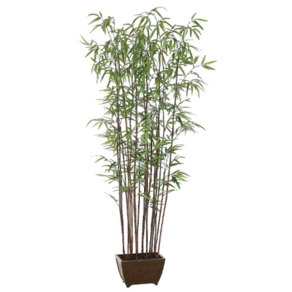 72"Bamboo Wal.Trx19 1276L(P)Gr 