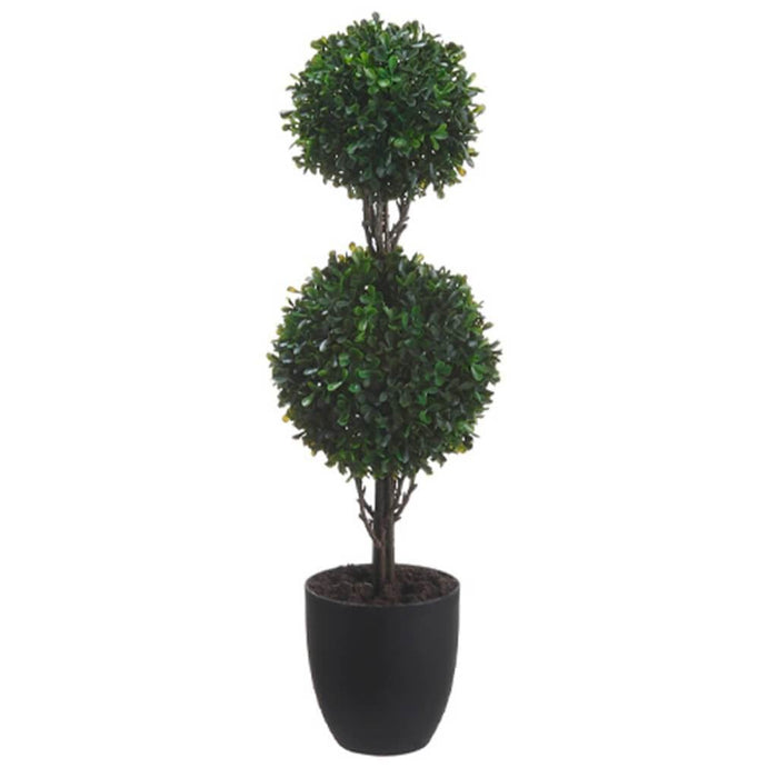 25"Boxwood Dbl Ball Top.281L(P 