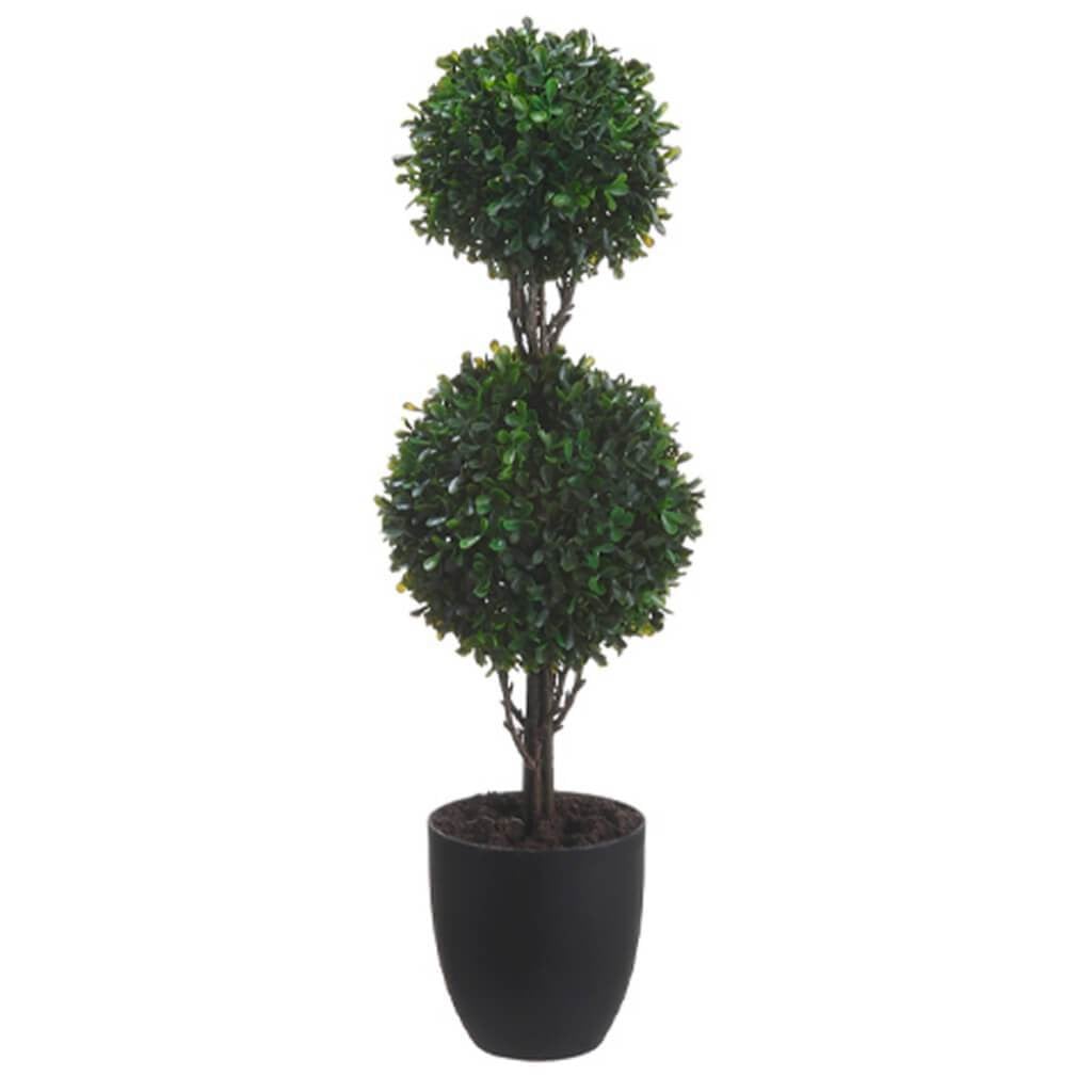 25"Boxwood Dbl Ball Top.281L(P 