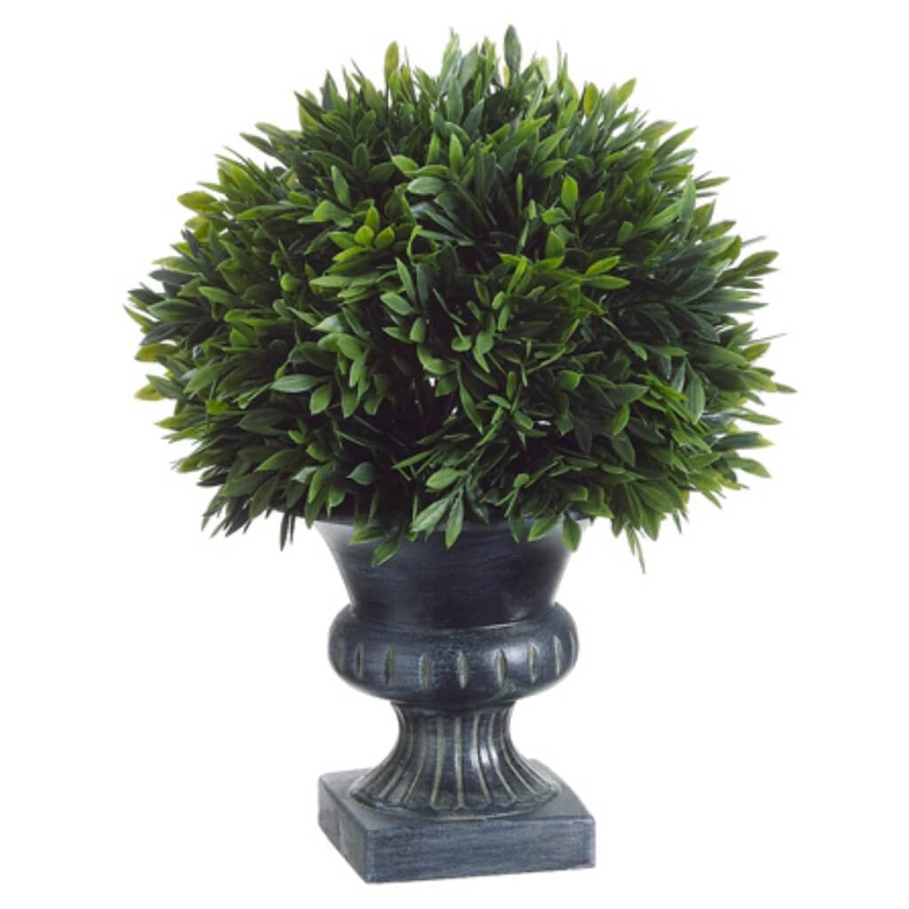 9H6.5"D Podocarpus 57L(Pla.Urn 