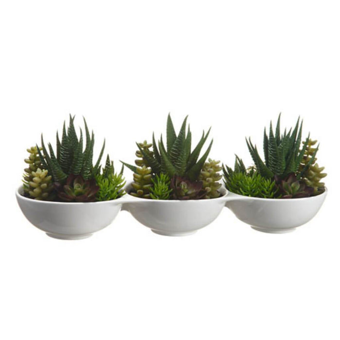 Succulent Garden In Pot 5" 