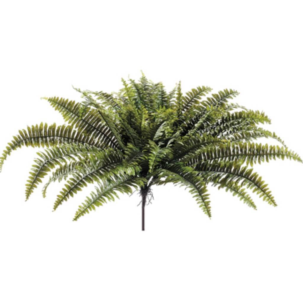 26&quot;Lag.Gar.Fern Hg/Bush Gr 