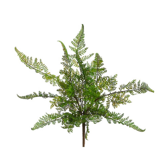 Leather Fern Bush 15" Green 