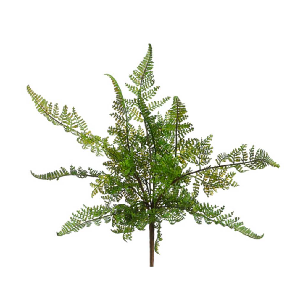 Leather Fern Bush 15" Green 