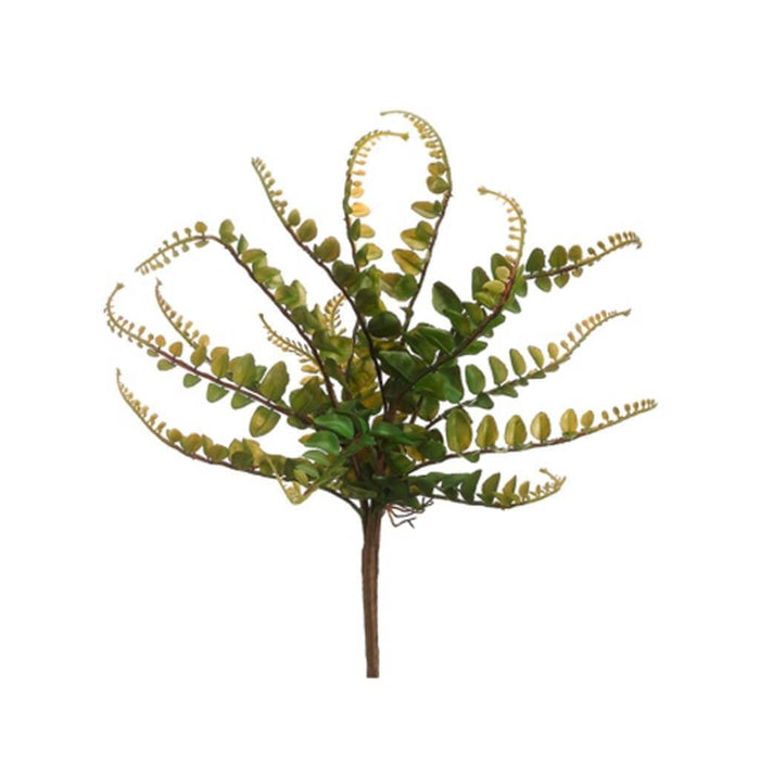 Button Fern Bush 10" Green 